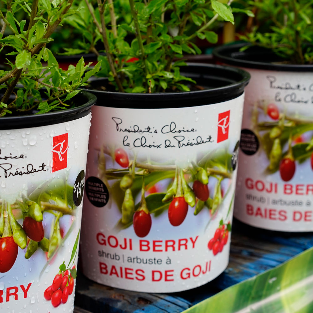 President's choice - Goji berry